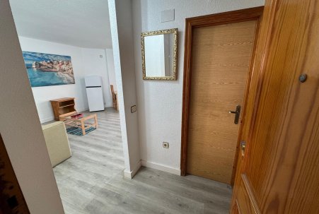 Sale - Estudio - Torrevieja - Playa de Los Locos-Curva del Palangre