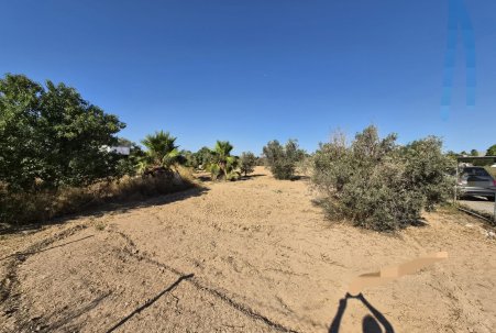 Sale - Finca - Guardamar del Segura