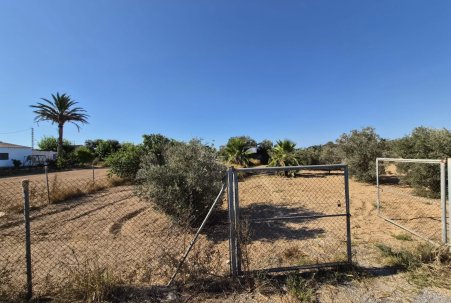 Sale - Finca - Guardamar del Segura