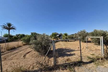 Sale - Finca - Guardamar del Segura
