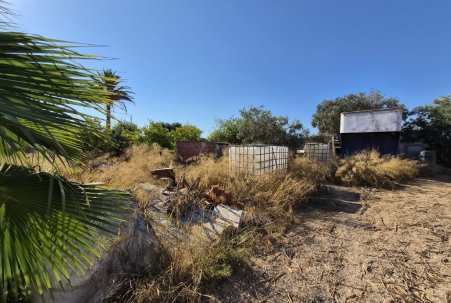 Sale - Finca - Guardamar del Segura