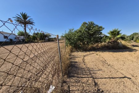 Sale - Finca - Guardamar del Segura