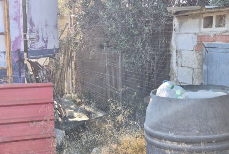 Sale - Finca - Guardamar del Segura