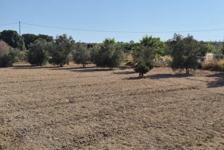 Sale - Finca - Guardamar del Segura