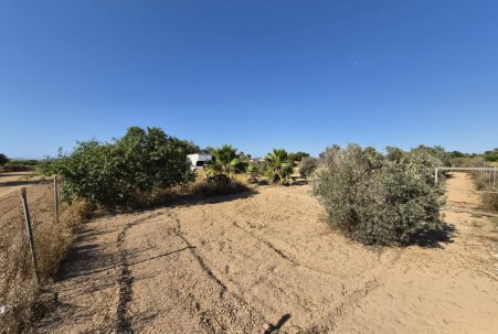 Sale - Finca - Guardamar del Segura
