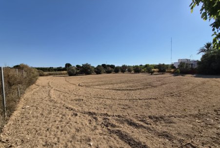 Sale - Finca - Guardamar del Segura