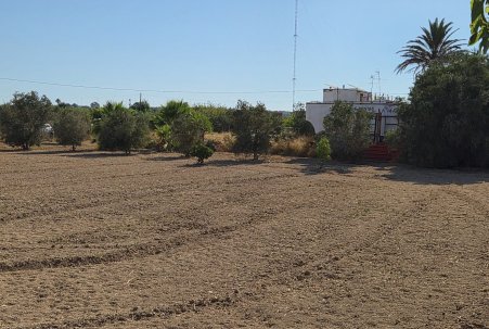 Sale - Finca - Guardamar del Segura