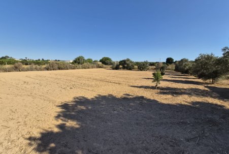 Sale - Finca - Guardamar del Segura