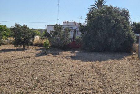 Sale - Finca - Guardamar del Segura