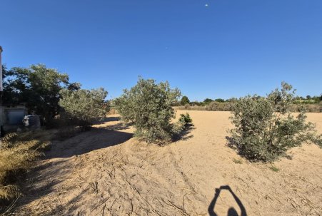 Sale - Finca - Guardamar del Segura