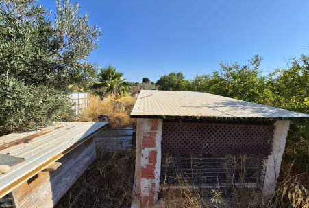 Sale - Finca - Guardamar del Segura