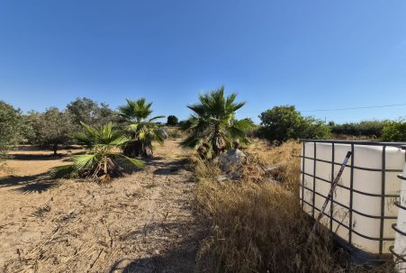 Sale - Finca - Guardamar del Segura