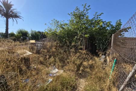 Sale - Finca - Guardamar del Segura