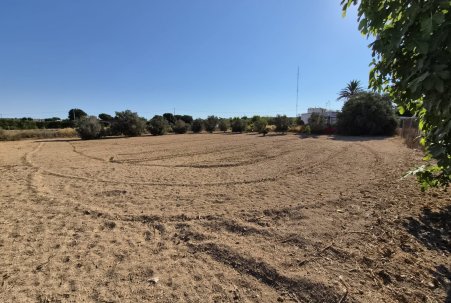 Sale - Finca - Guardamar del Segura