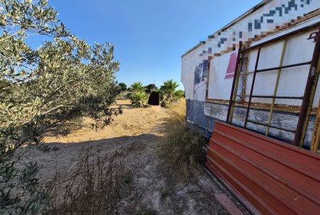 Sale - Finca - Guardamar del Segura