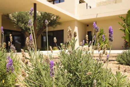 New Build - Villa - La Marina
