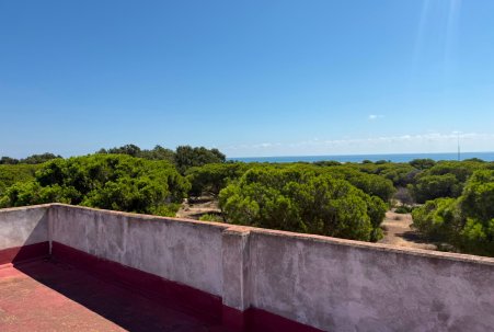 Sale - Atico - Guardamar del Segura