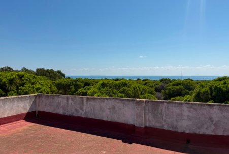 Sale - Atico - Guardamar del Segura