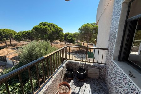 Sale - Atico - Guardamar del Segura