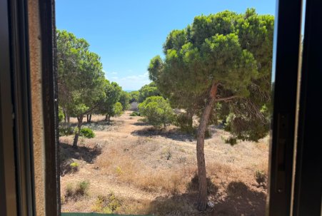 Sale - Atico - Guardamar del Segura