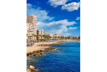 Obra Nueva - Apartamento - Torrevieja