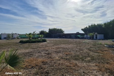 Sale - Plot - Guardamar del Segura