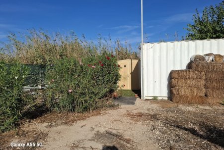 Sale - Plot - Guardamar del Segura