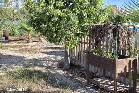Sale - Plot - Guardamar del Segura
